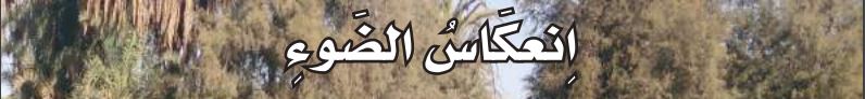 انعكاس الضوء